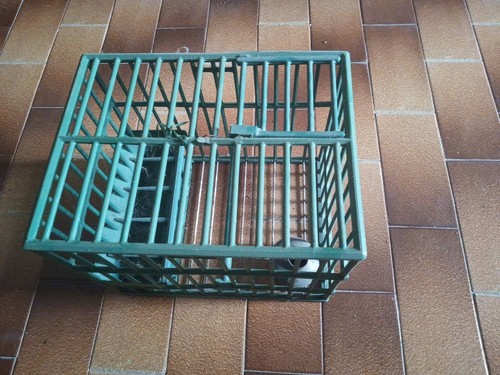 Gabbia per turdidi vintage - per,