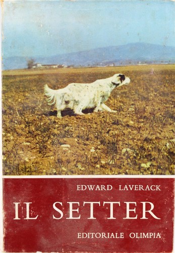 Libro setter caccia olimpia - libro,